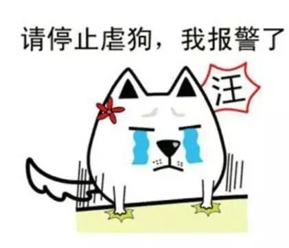 隐形式单身娱乐吃瓜酱